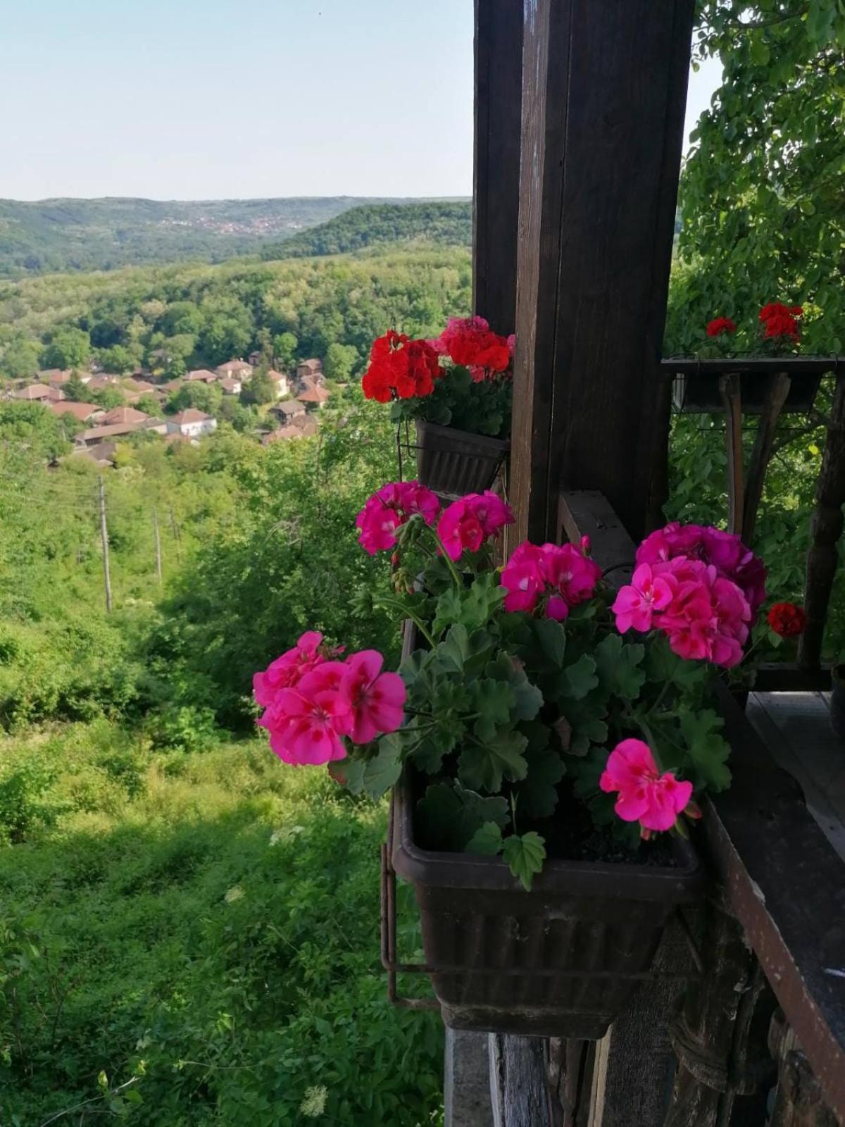 Country House Pivnica Milic Rogljevo Lägenhet Exteriör bild
