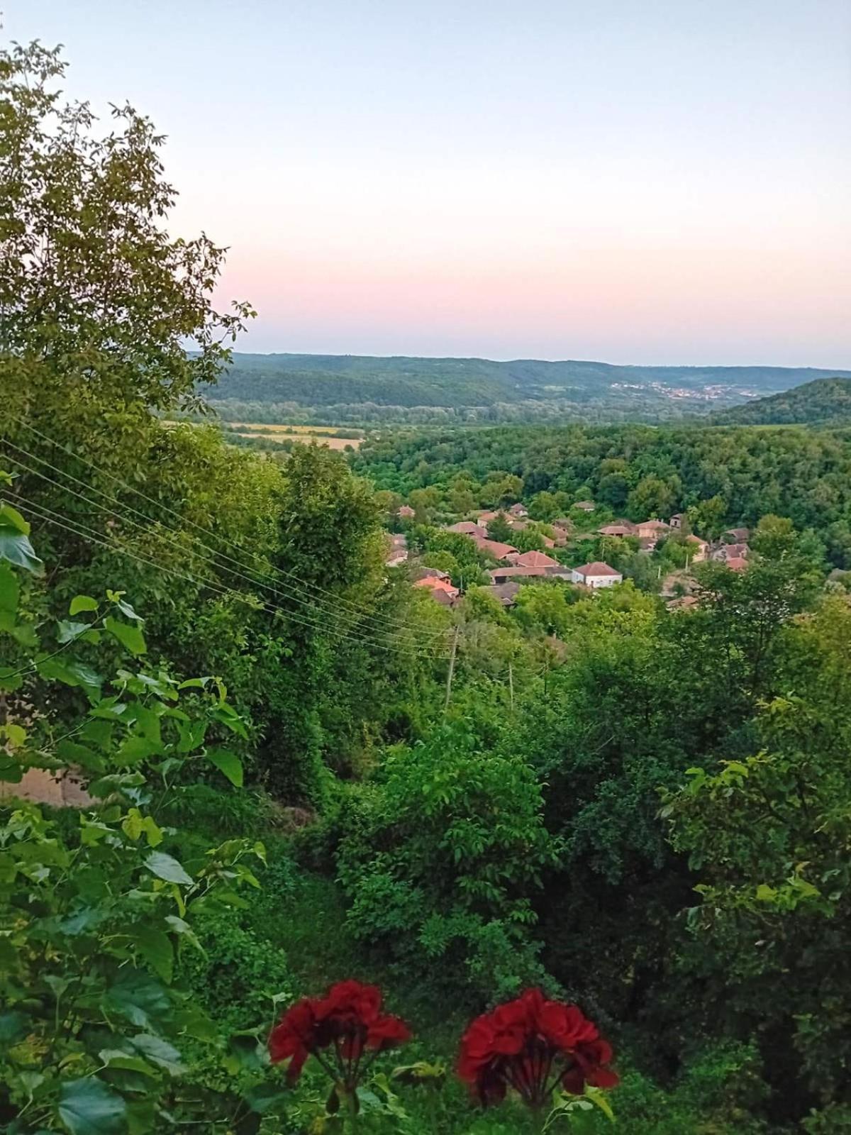 Country House Pivnica Milic Rogljevo Lägenhet Exteriör bild